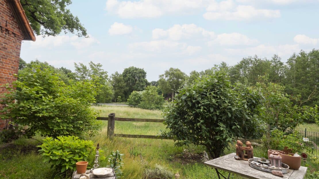 Blick aus dem Garten